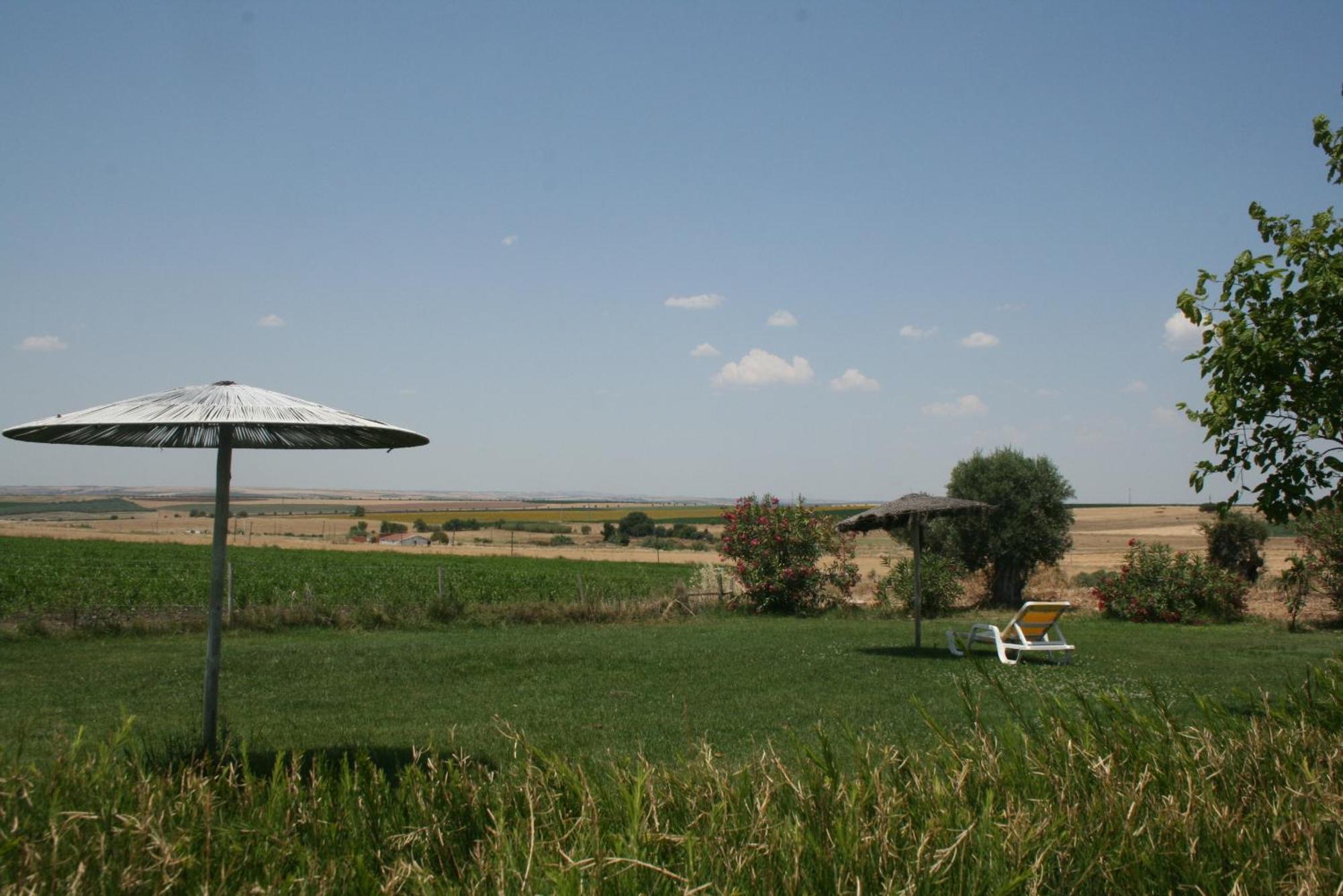 Monte Da Morena Agro-Turismo Serpa Esterno foto