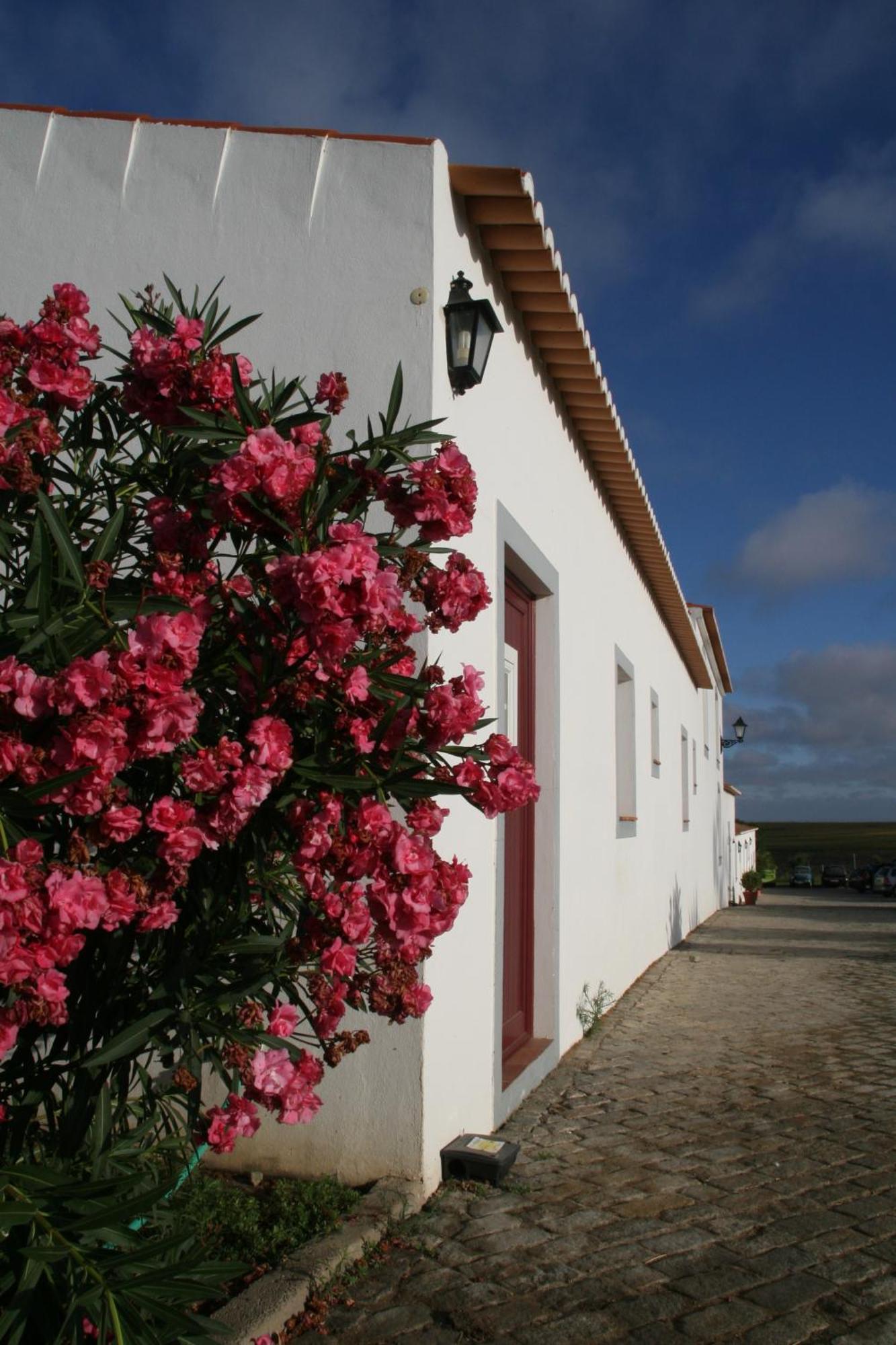 Monte Da Morena Agro-Turismo Serpa Esterno foto