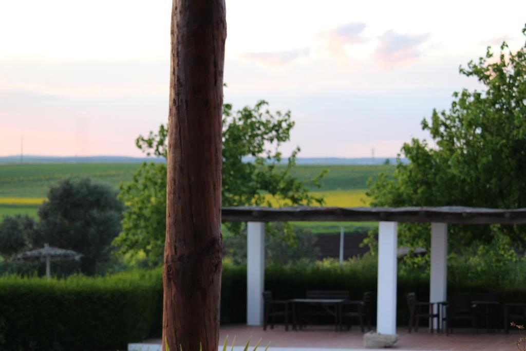 Monte Da Morena Agro-Turismo Serpa Esterno foto