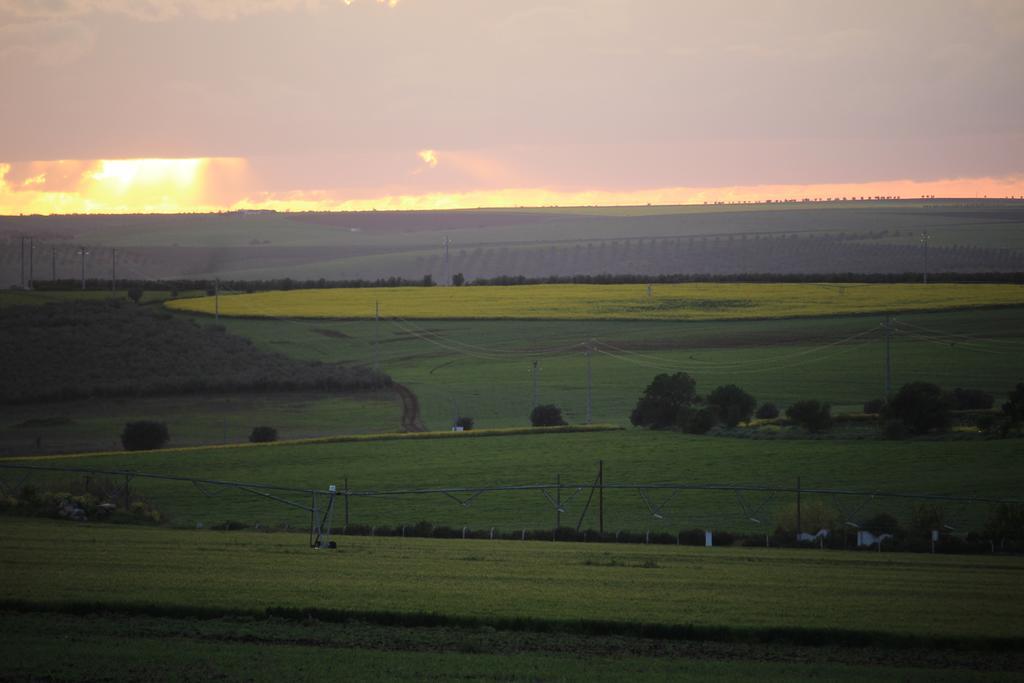 Monte Da Morena Agro-Turismo Serpa Esterno foto