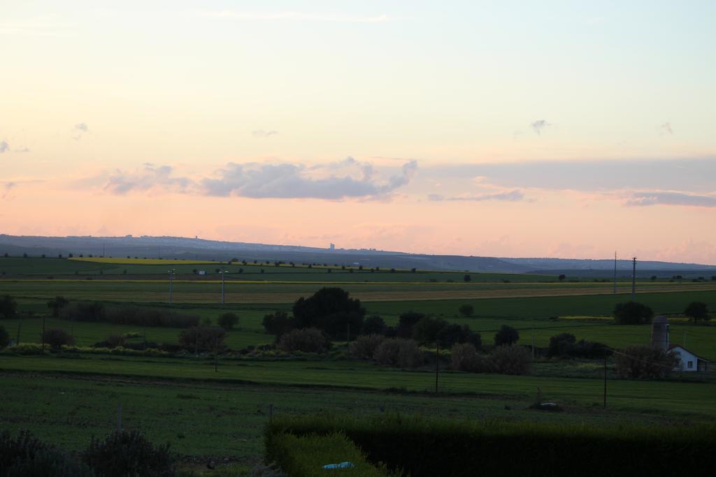 Monte Da Morena Agro-Turismo Serpa Esterno foto